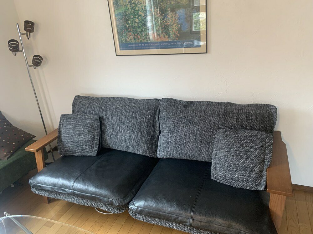 Фото Hakuba Ski Condos