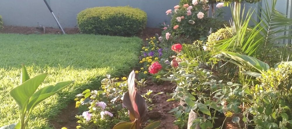 Фото Berry Bliss Guest House