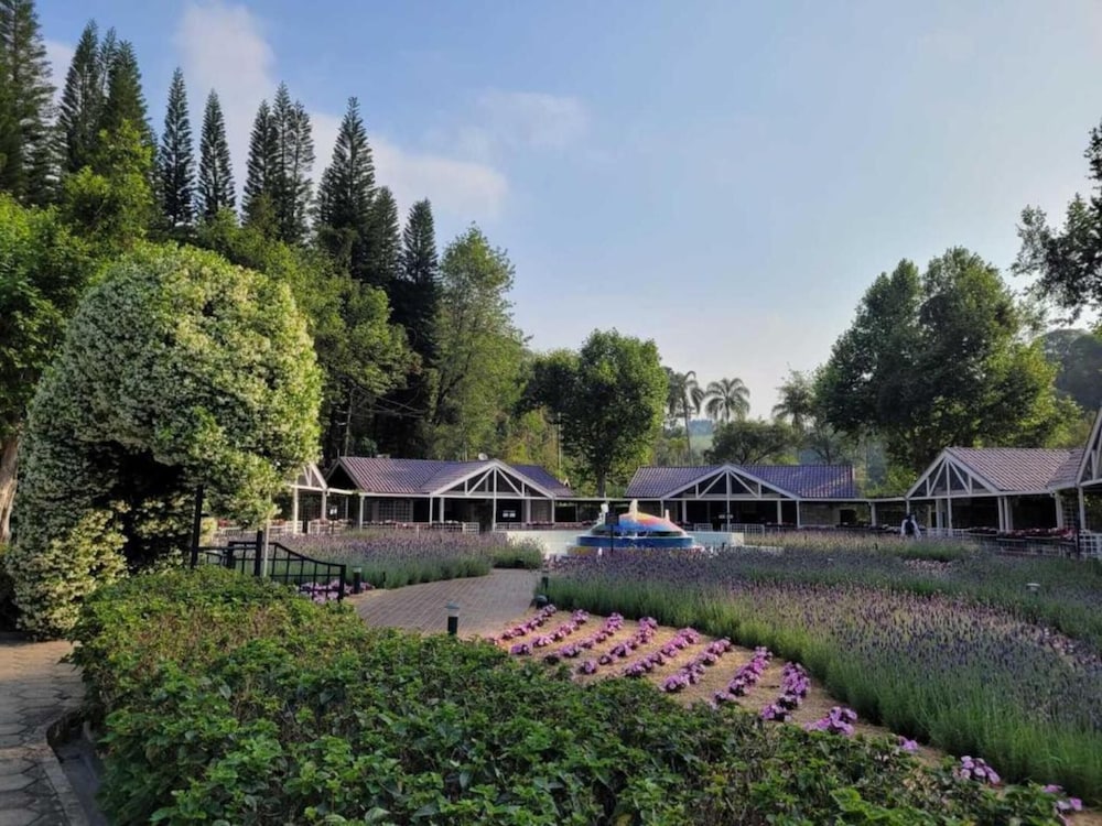 Фото Hotel Unique Garden