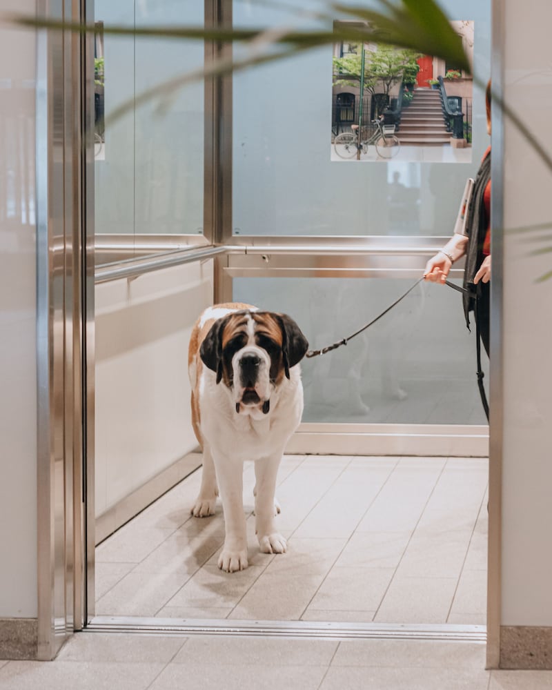 Фото Courtyard by Marriott Stockholm Kungsholmen