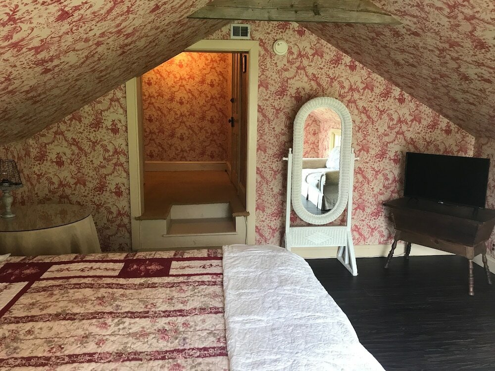 Фото Wild Wisteria