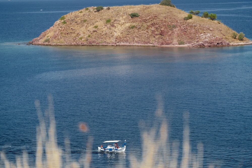 Фото Little Bird