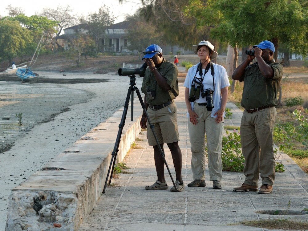 Фото Ibo Island Lodge