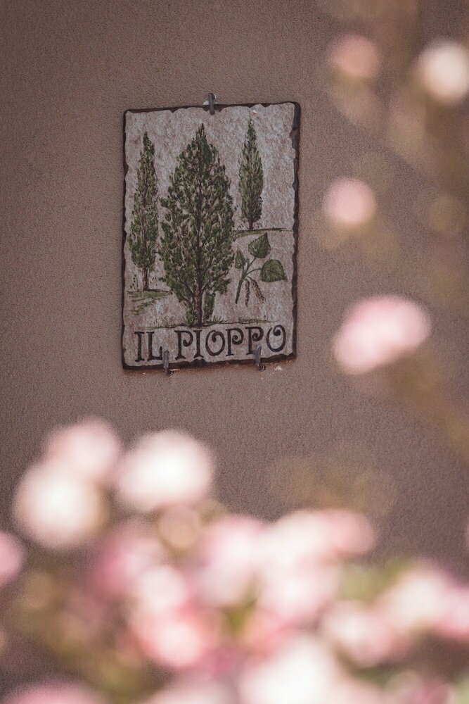 Фото Agriturismo Querceto