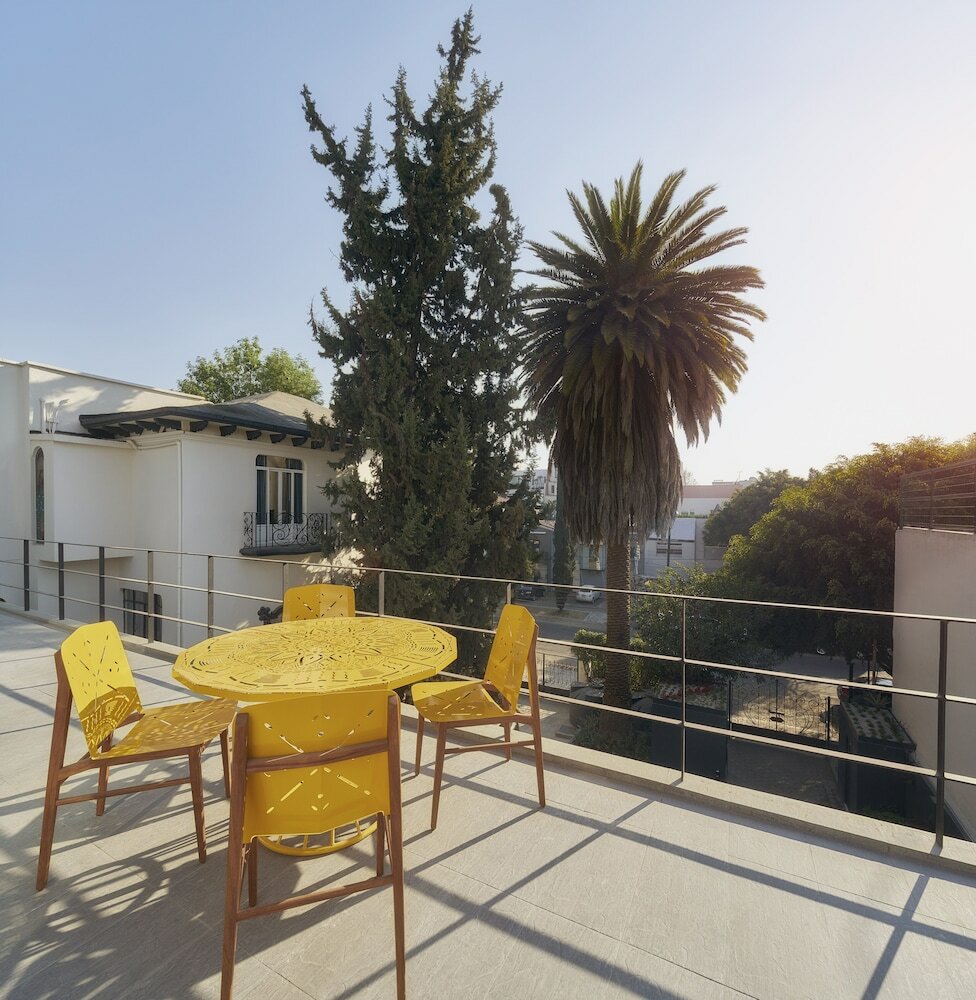 Фото Pug Seal Polanco Allan Poe