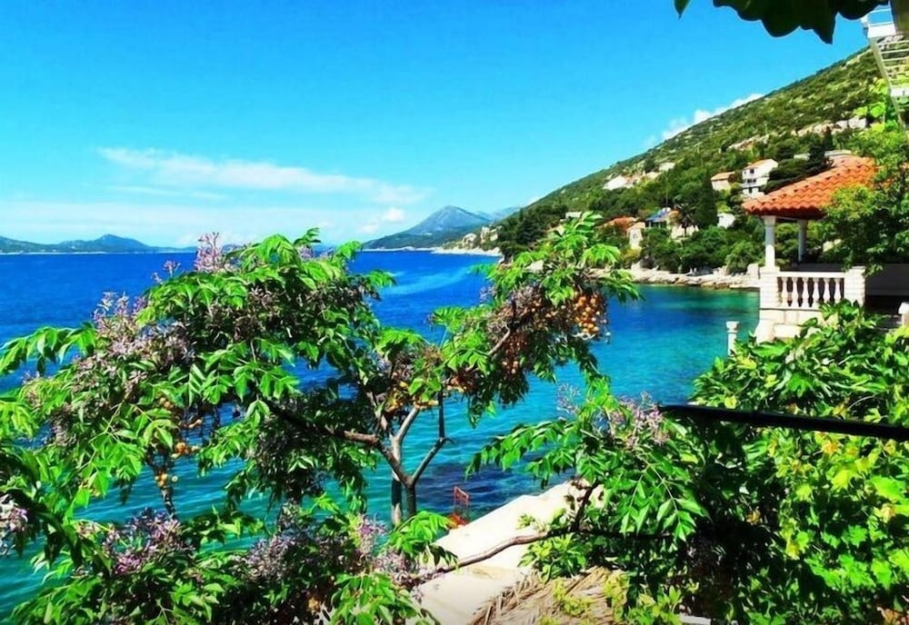 Фото Sea of Eden