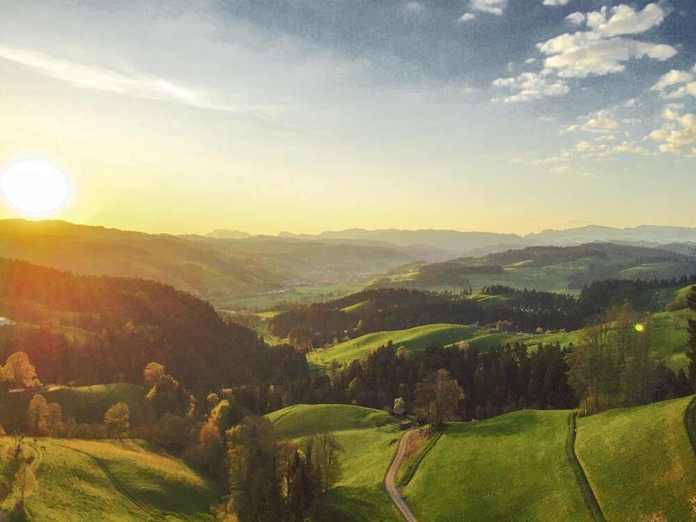 Фото Boutique Hotel Moosegg