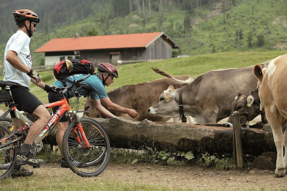 Фото Aparthotel Donaustern