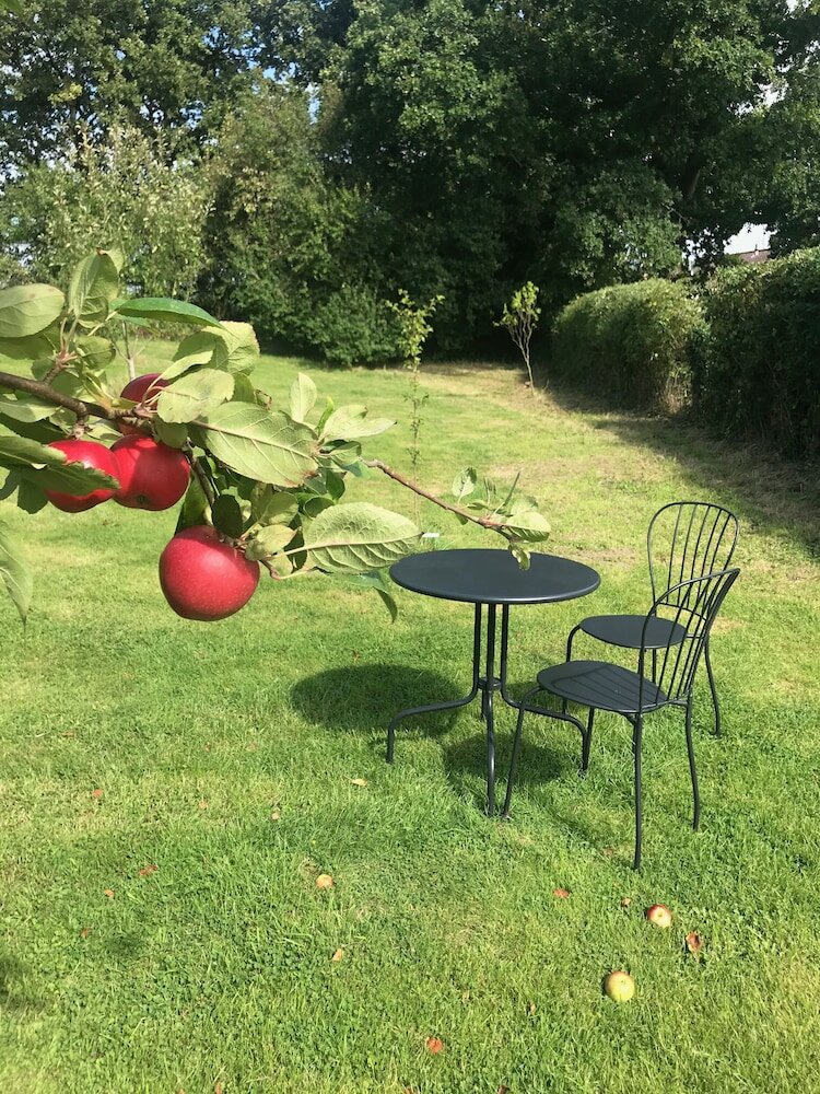 Фото Rosebank Bed & Breakfast