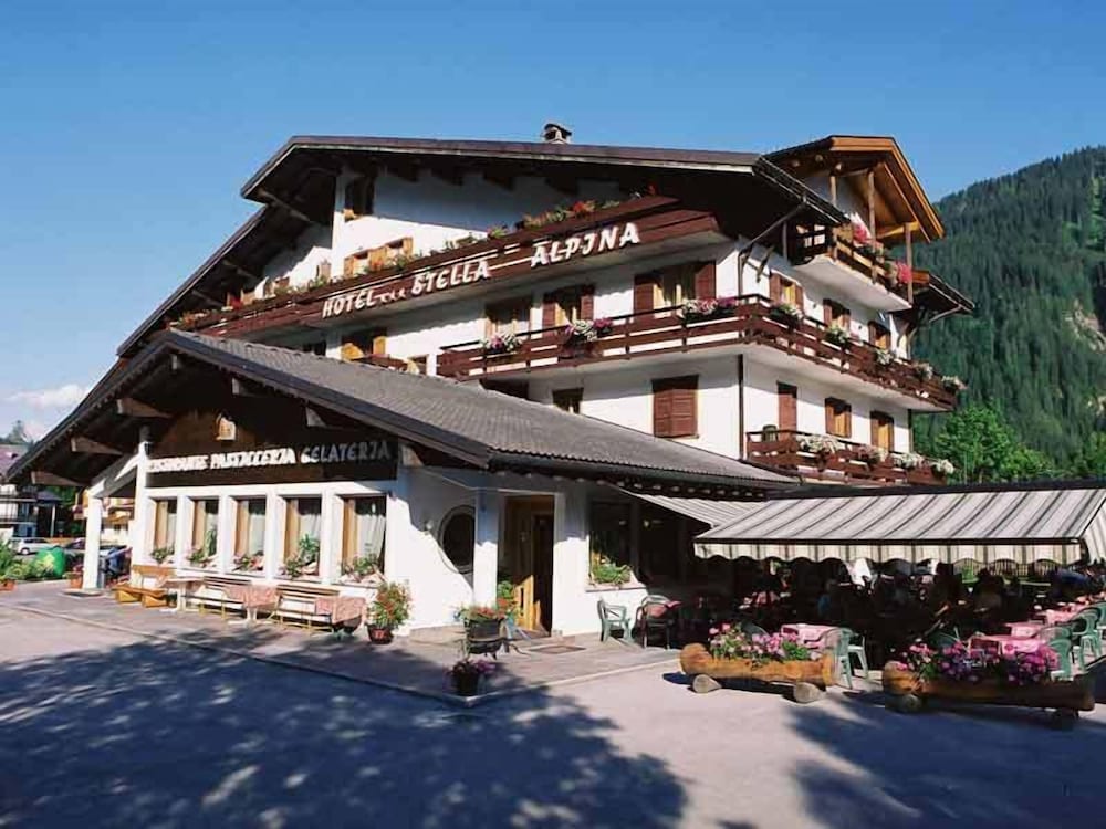 Фото Hotel Stella Alpina
