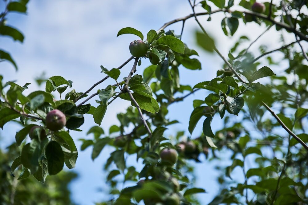 Фото Danhostel Kalundborg