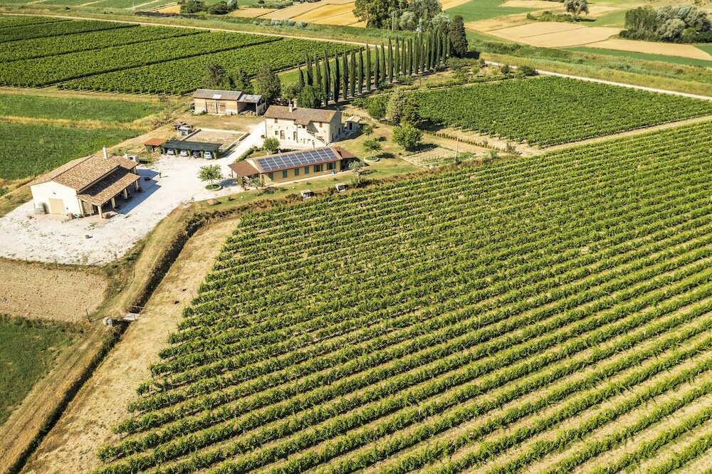 Фото Agriturismo La Fonte