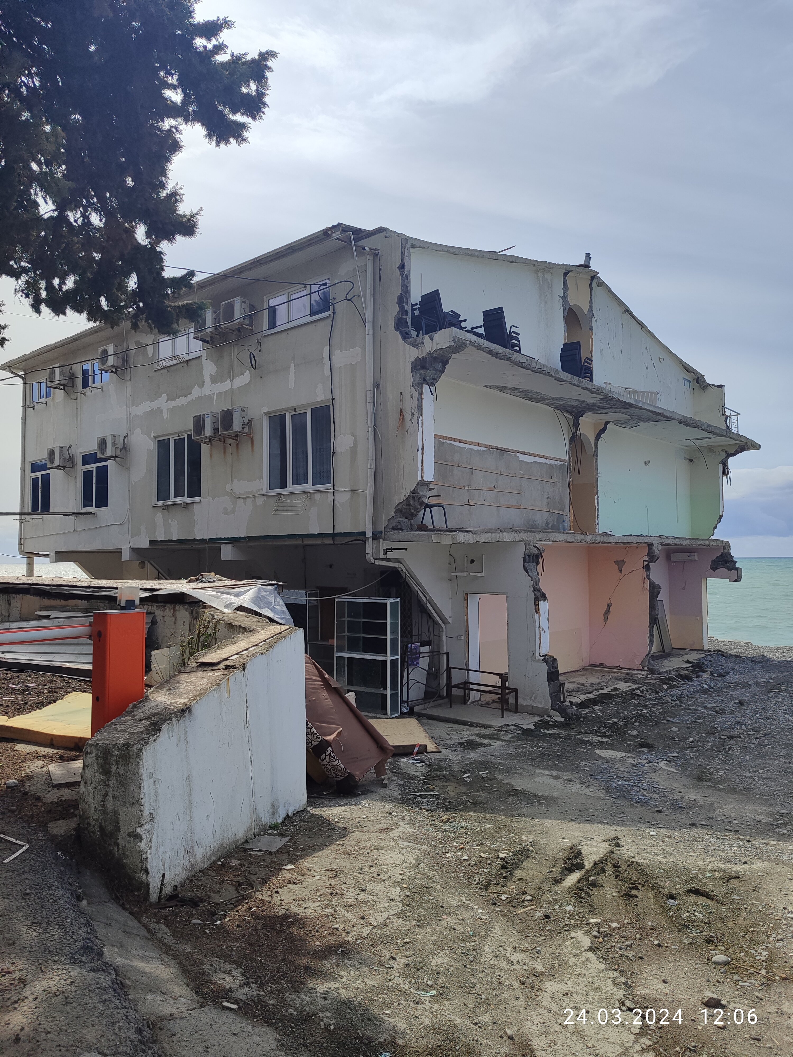 Фото Пальмира