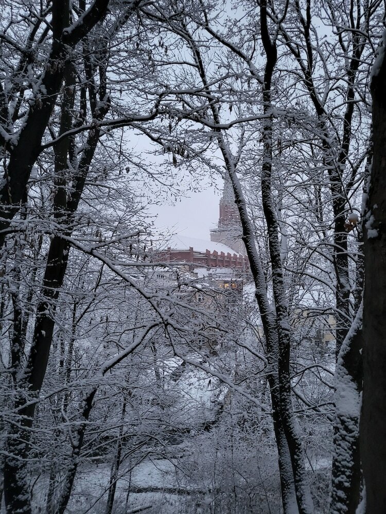 Фото Hotel Prinz