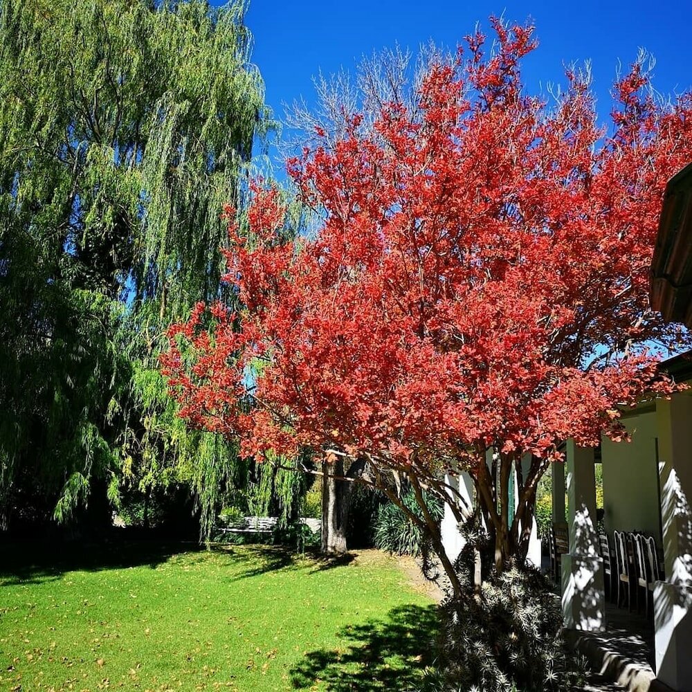 Фото Ganora Guestfarm & Excursions