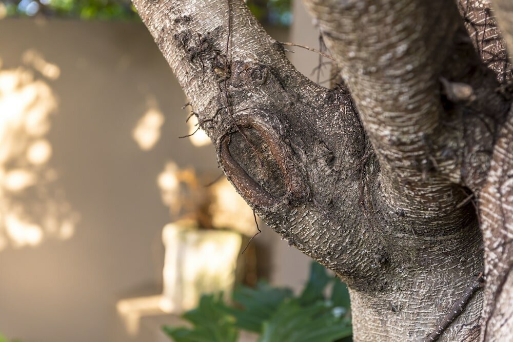 Фото Kingfisher GuestHouse