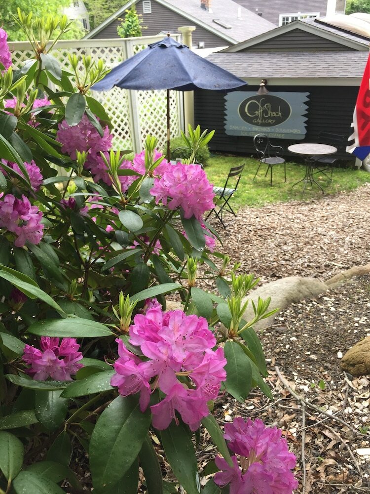 Фото Frederick William House