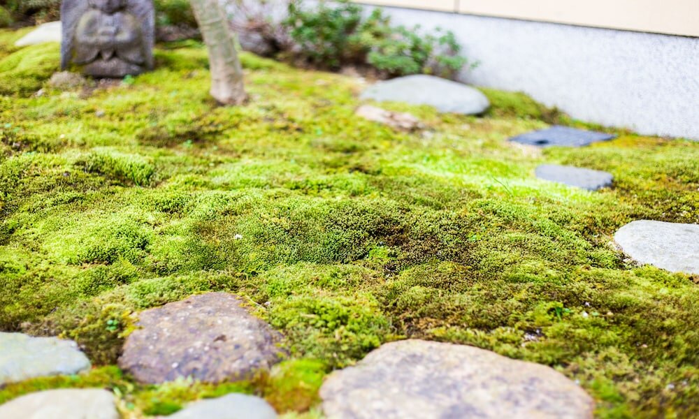 Фото Kyo-no-Yado Sangen Ninenzaka