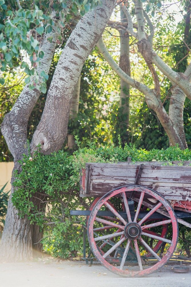 Фото Hotel Plaza