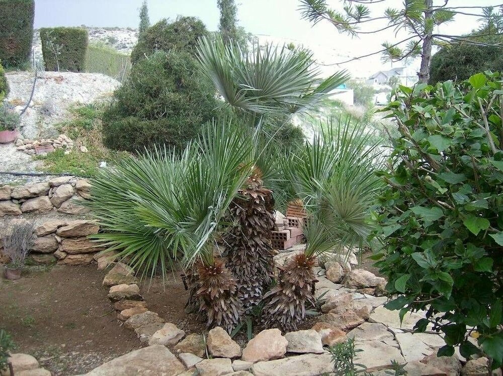 Фото Rantzo Holiday Apartments