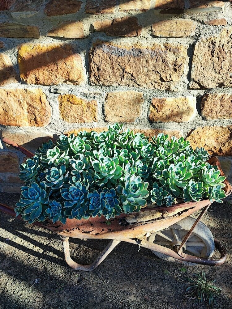 Фото Ganora Guestfarm & Excursions