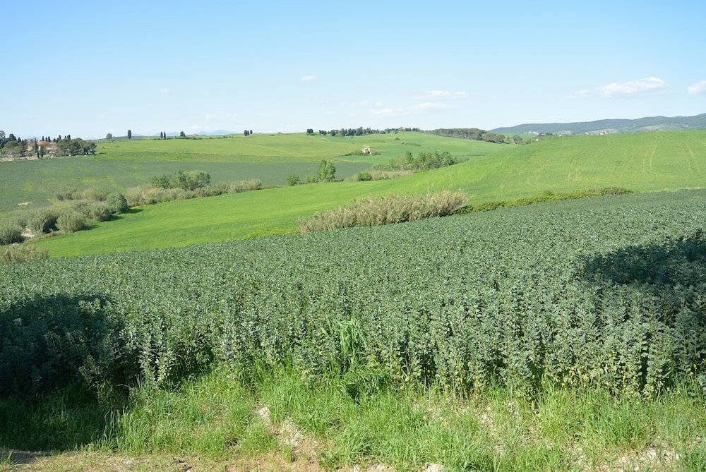 Фото Agriturismo dei Setteventi