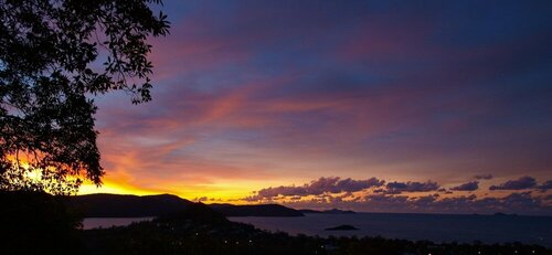 Гостиница Whitsundays Rainforest Retreat