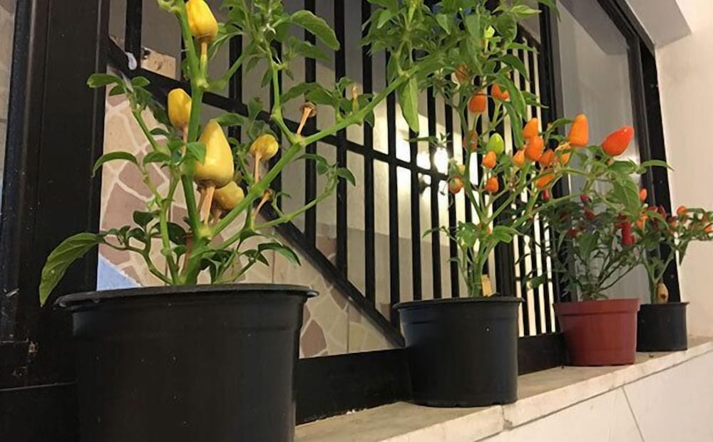 Фото Cambada Hostel