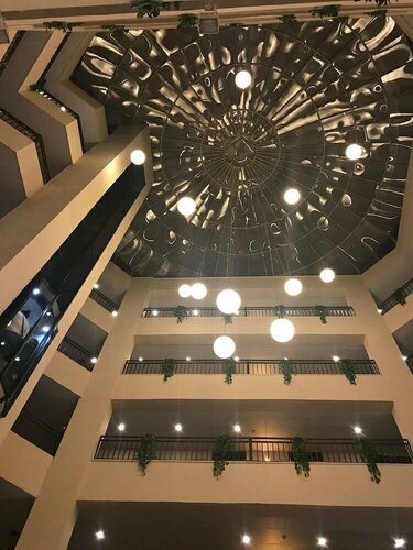 Гостиница The Signature Hotel в Аммане