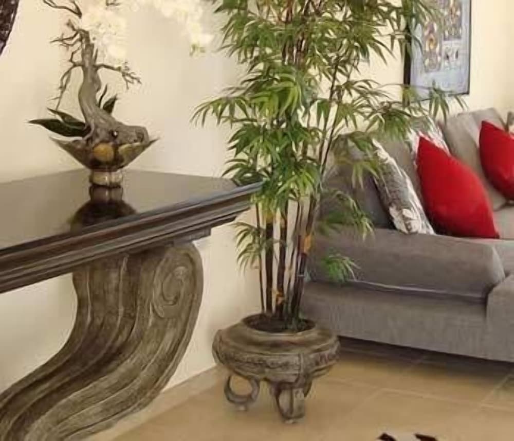 Фото Amadora Luxury Villas