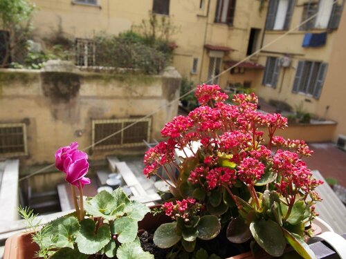 Хостел Palladini Hostel Rome в Риме