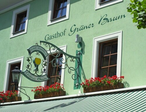 Гостиница Hotel Grüner Baum в Цель-ам-Зе