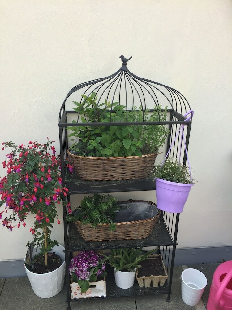 Фото Old Town Boutique Apartments