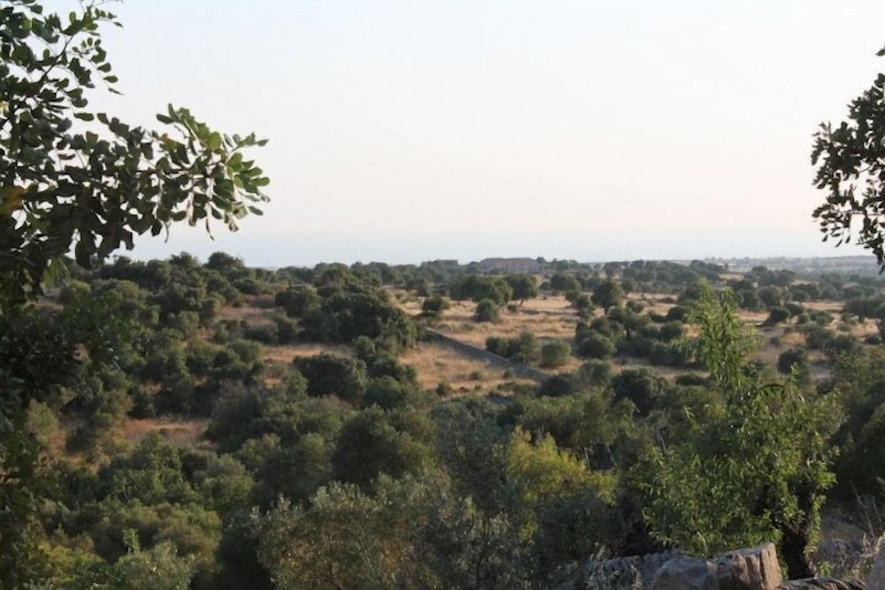 Фото Tenuta Zannafondo