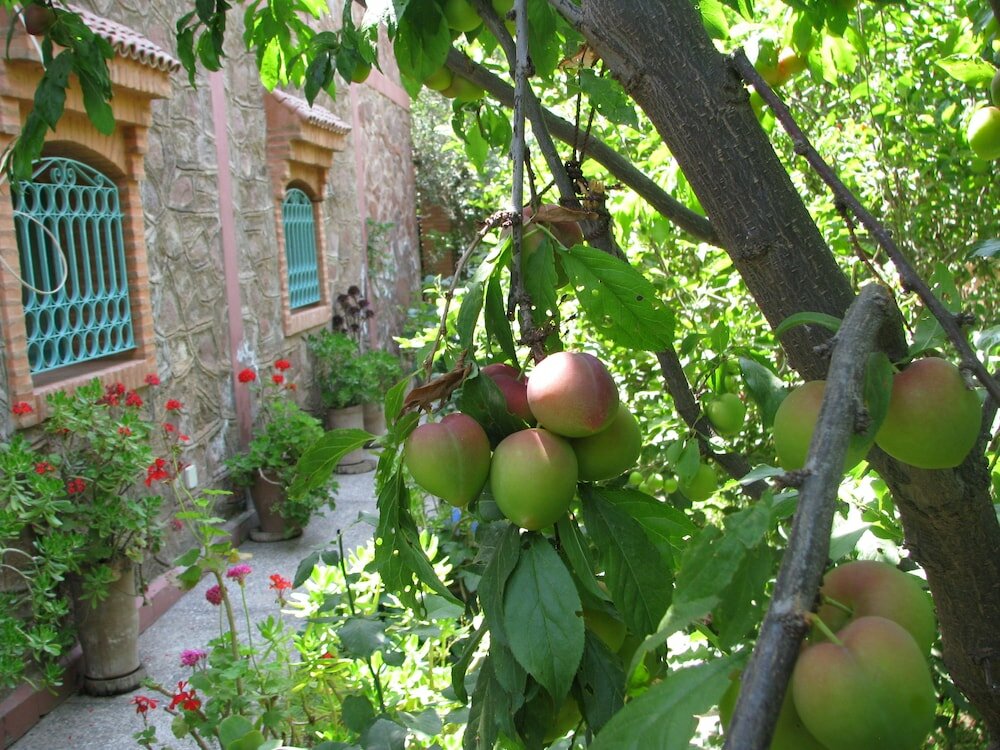 Фото Chez Larbi Ourika