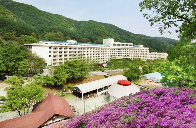 Гостиница Hanwha Resorts Yangpyeong