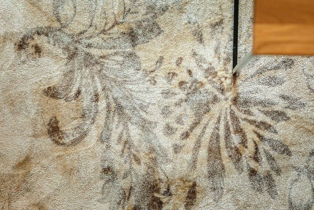 Фото Alpenland Gerlos - Hotel & Breakfast