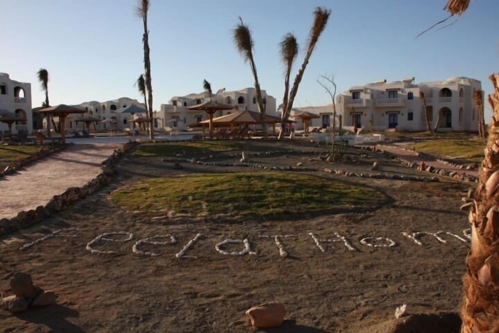 Фото BeachSafari Resort