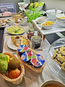 Гостиница Hotel Forza