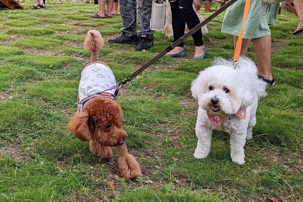 Фото Howard Beach Resort Kenting