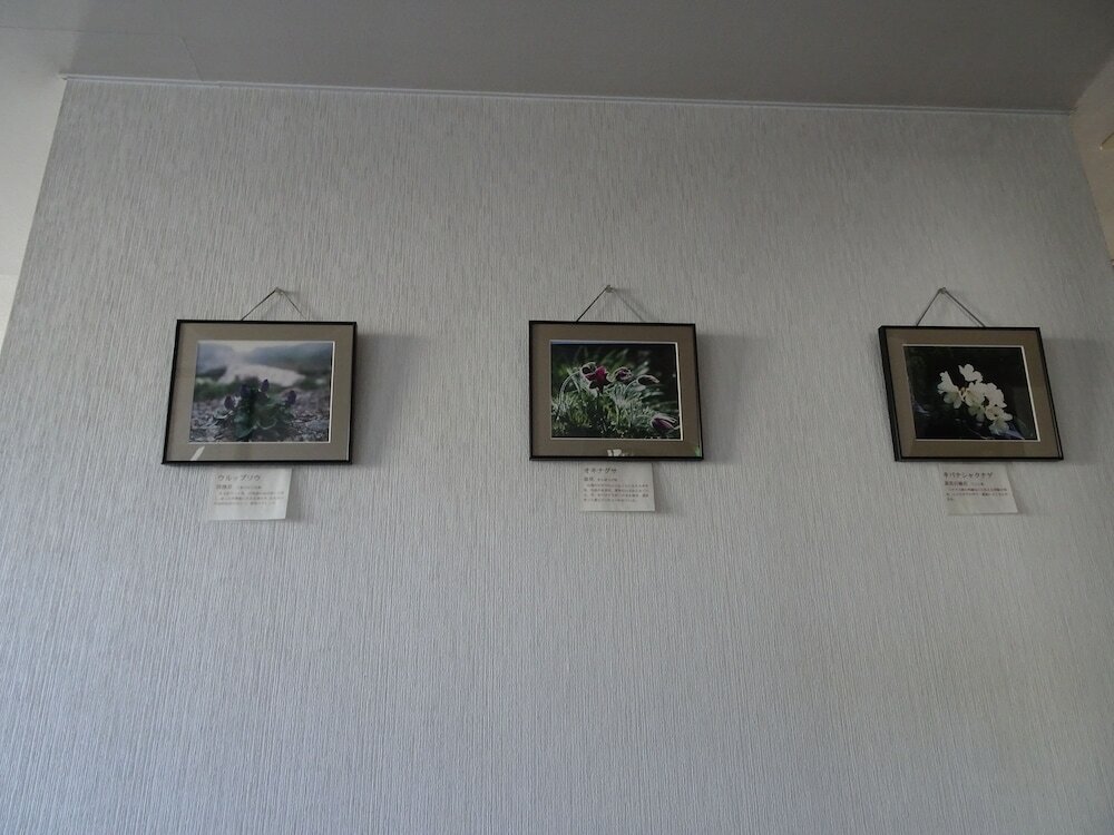 Фото Hakuba Glad Inn Ebisuya