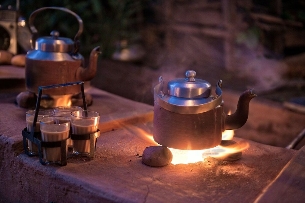 Фото Paatlidun Safari Lodge