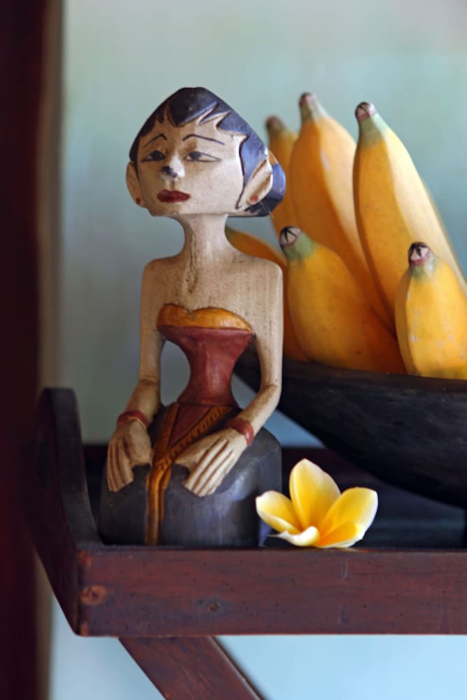 Фото The Mahogany Villa