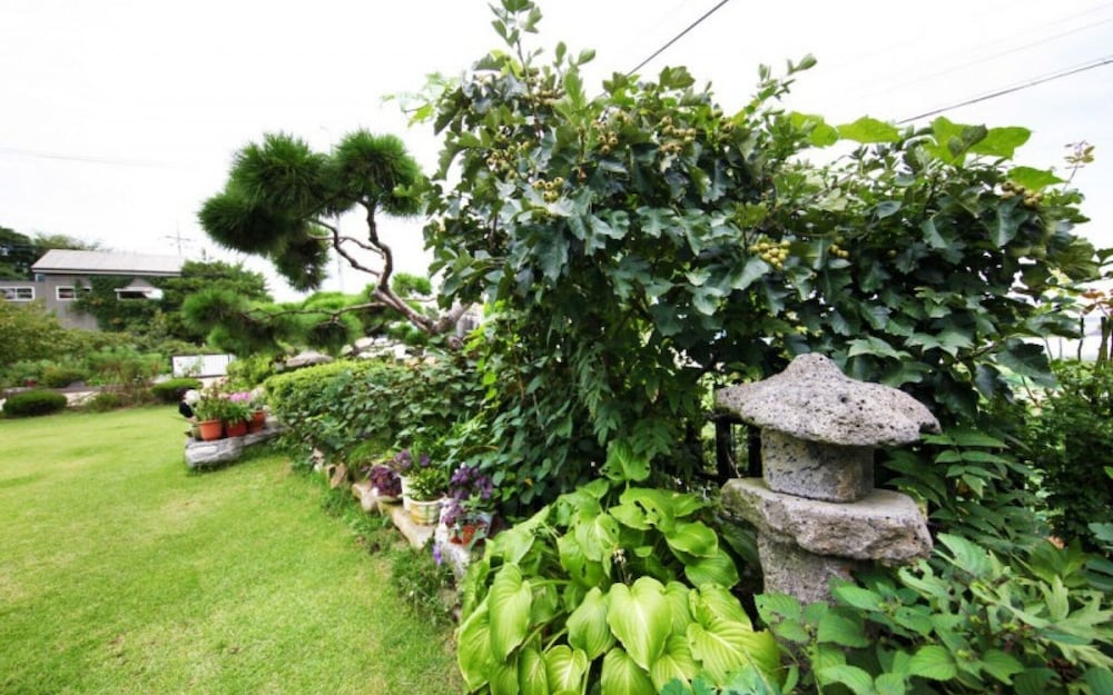 Фото Ganghwado Star Pension