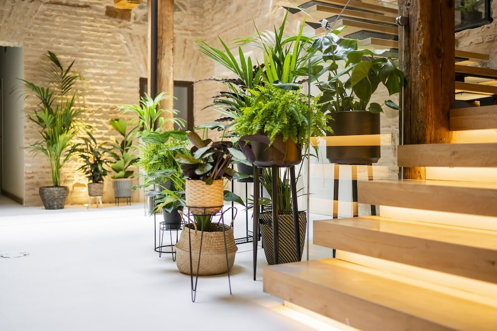 Фото Hostal Azacanes