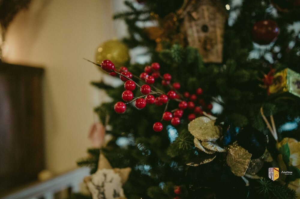 Фото Arkefthos Mountain Hotel