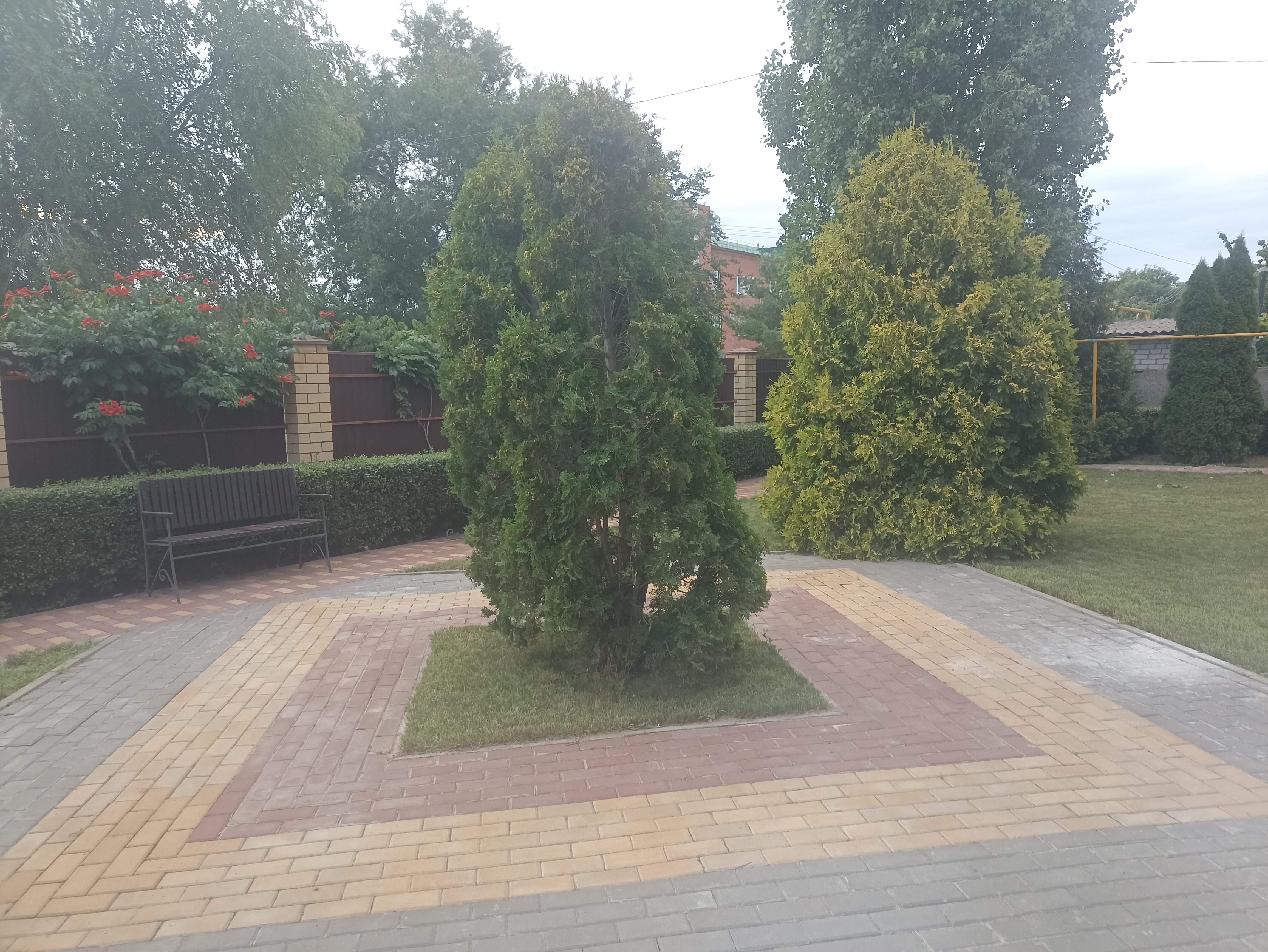 Фото Семь королей