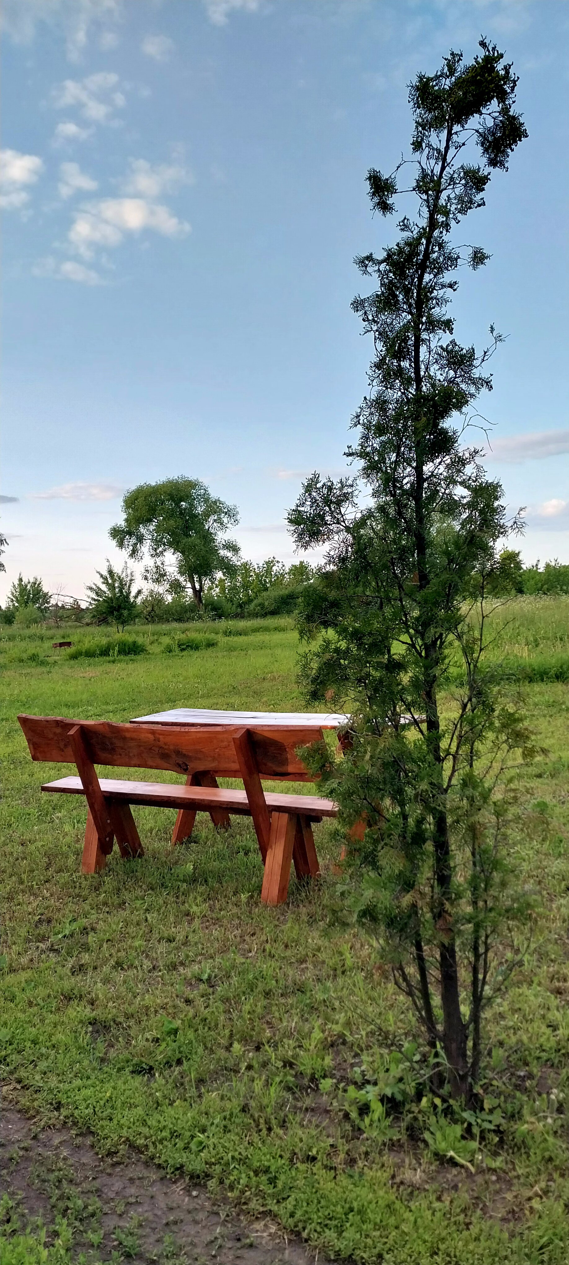 Фото Фактория