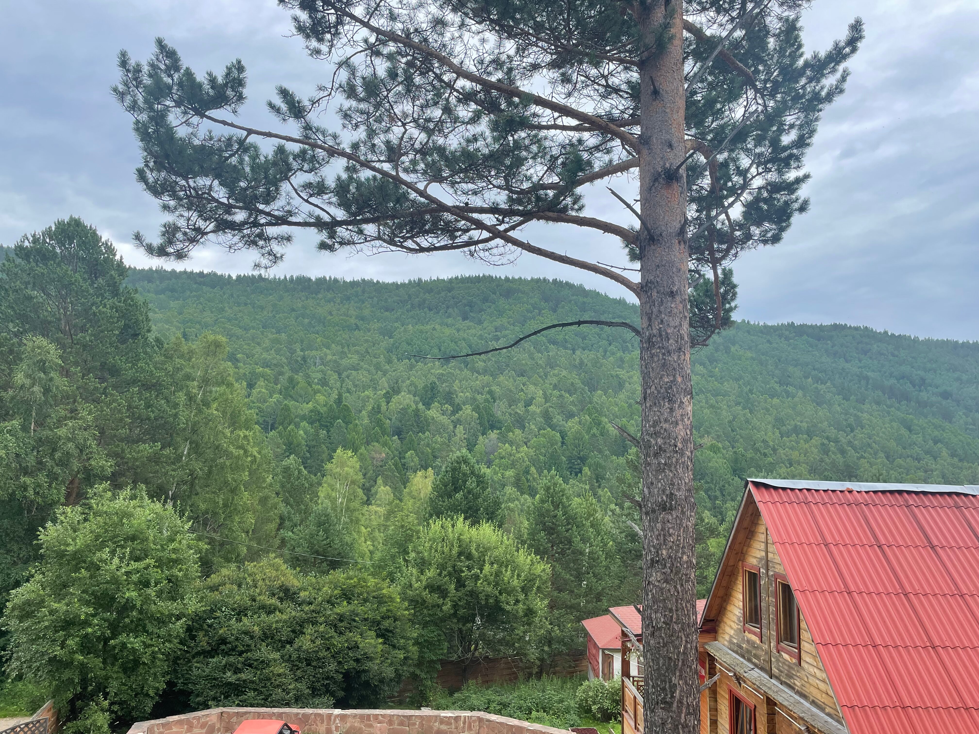 Фото Натали