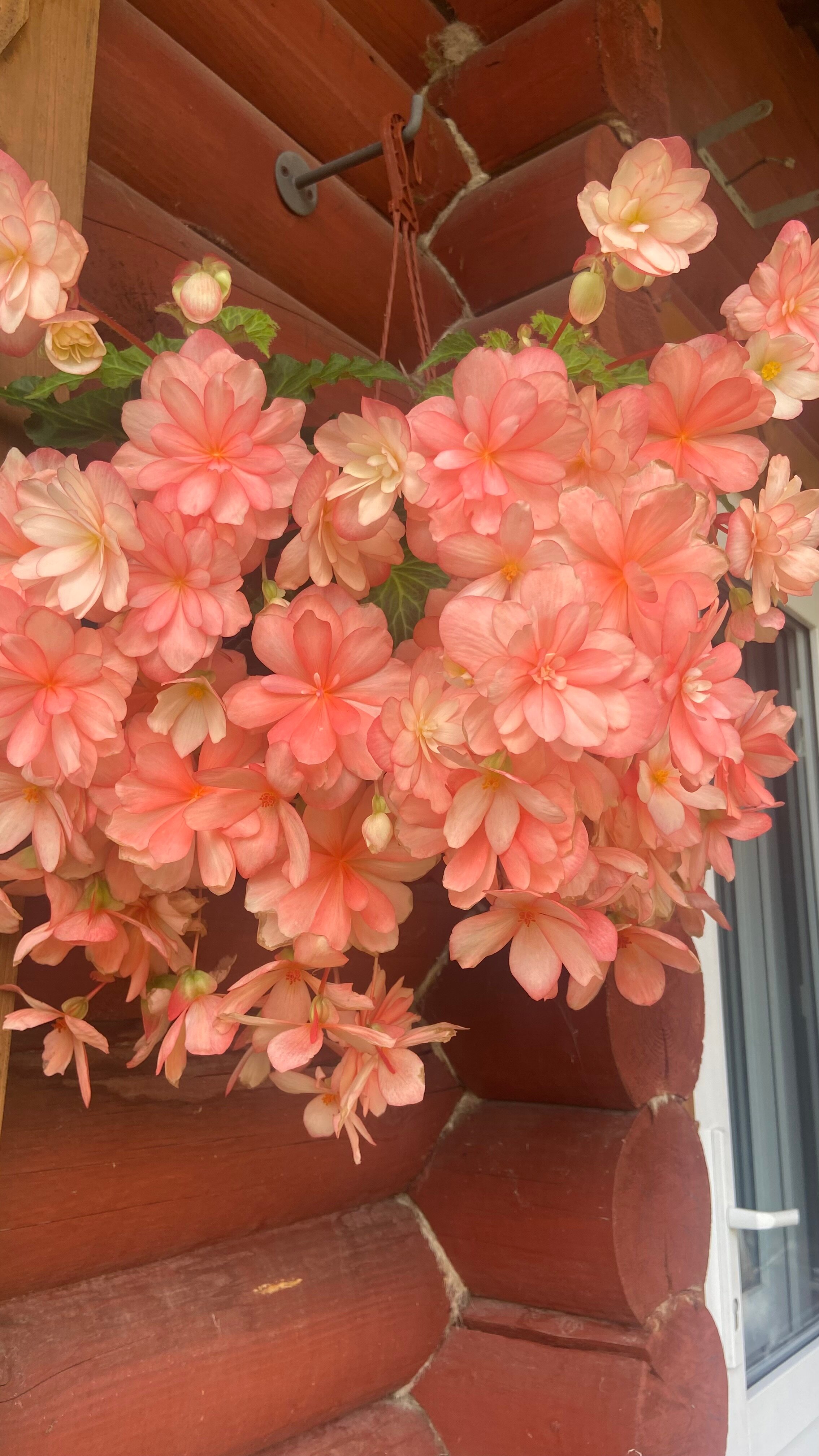 Фото Родник